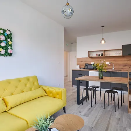 Urban Endji * Mocici