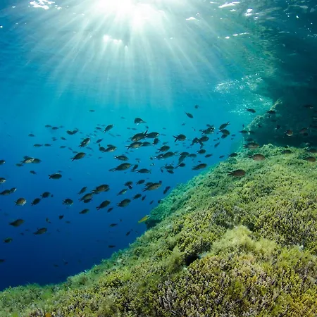 Urban Endji Močići