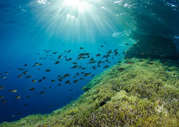 Urban Endji Močići